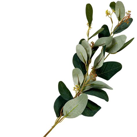 Rama Decorativa de Eucalipto Verde 72 Cms.-2