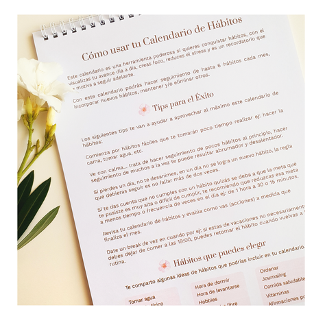 Calendario de hábitos - 12 meses para crecer-5