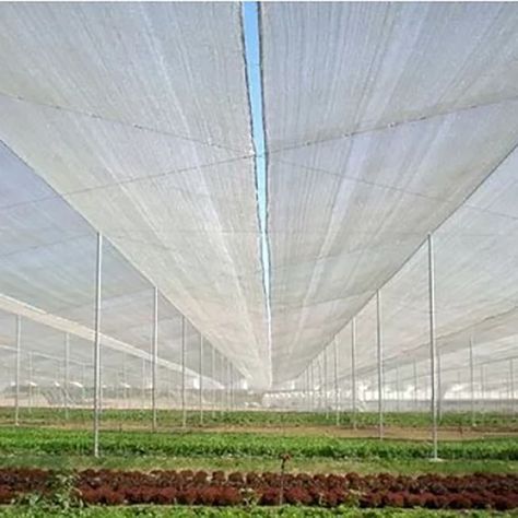 Malla Sombra Lisa 35% de 2,10 × 100 m color Blanco-2