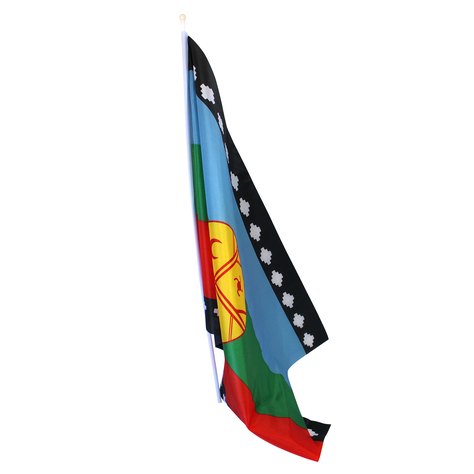 Bandera Mapuche 90 X 60 Cm-0