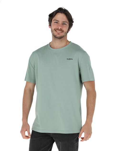 Polera Manga Corta Api Verde Hombre-0