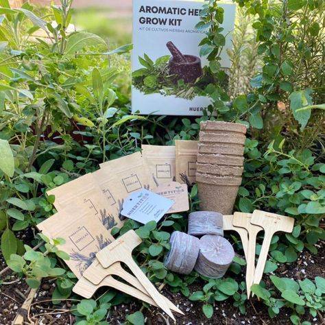 Kit de cultivo Hierbas Aromáticas (GROWKIT)-1