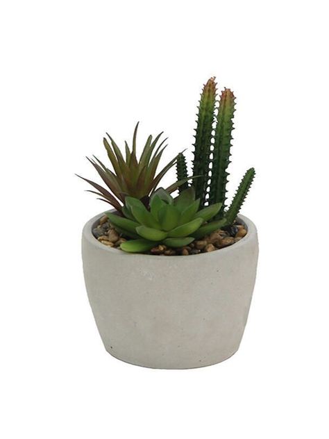 Plantita artificial deco altura 20 cm.. Unico-0