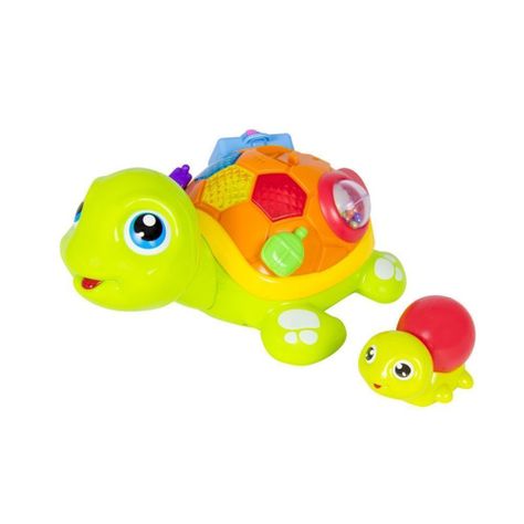 Tortuga interactiva-1