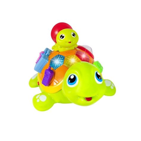 Tortuga interactiva-0