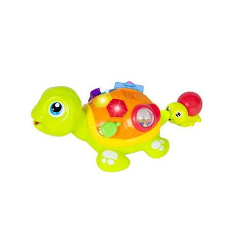 Tortuga interactiva-2