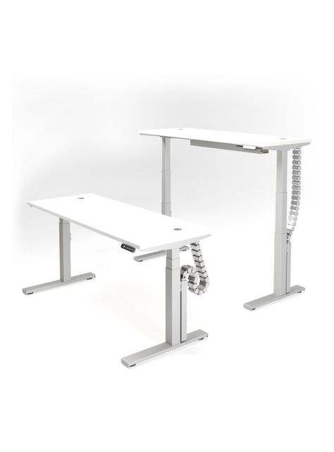 Escritorio Eléctrico Standing Desk 160x60cm AE-2