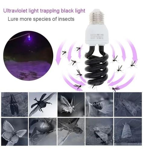 Ampolleta Uv Fiesta Flúor 40w E27 Luz Negra Ultravioleta-2