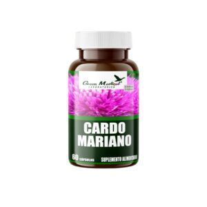 Cardo Mariano-0