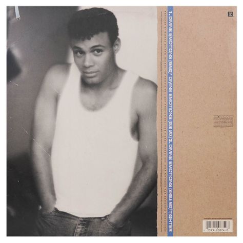 NARADA MICHAEL WALDEN - DIVINE EMOTIONS 12" MAXI SINGLE VINILO USADO-1