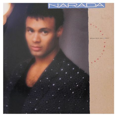 NARADA MICHAEL WALDEN - DIVINE EMOTIONS 12" MAXI SINGLE VINILO USADO-0