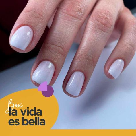 Experiencia La Vida es Bella-4