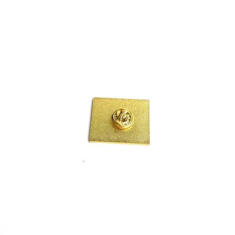 PIN FEMINISTA ZICATELA PLACEI-1