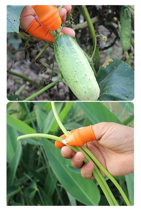 DEDAL CUCHILLO PARA VERDURAS Y HORTALIZAS-7