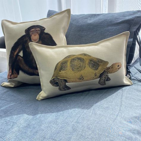 Cojín Tortuga, 50x30-1