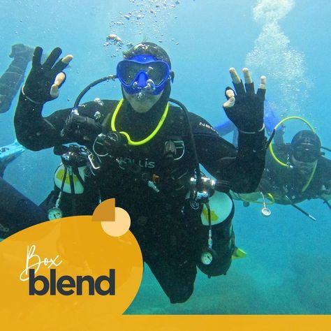 Experiencia Blend-4