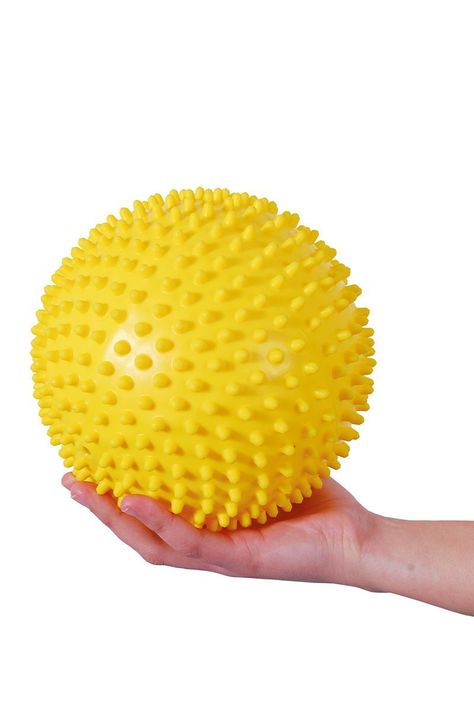 PELOTA PUERCO ESPÍN 20 CM-0