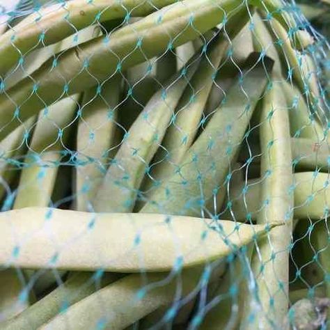 2.000 Mallas Verdes para envasar 1 kg-0