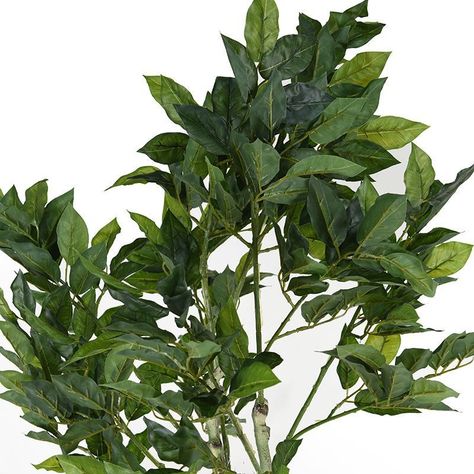 Ficus Artificial 180cm-1