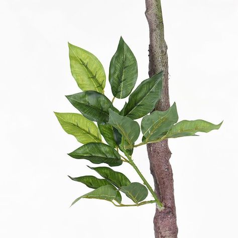 Ficus Artificial 180cm-2
