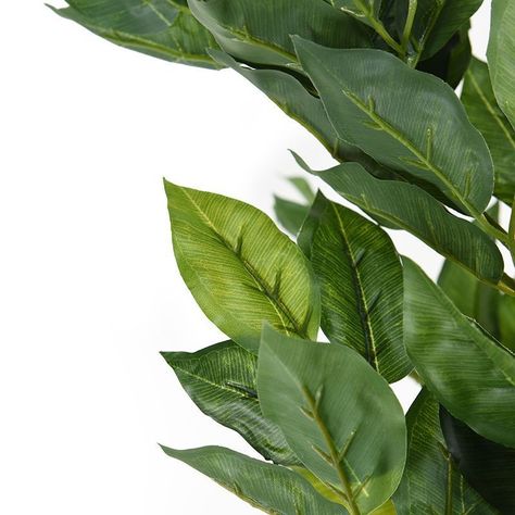 Ficus Artificial 180cm-3