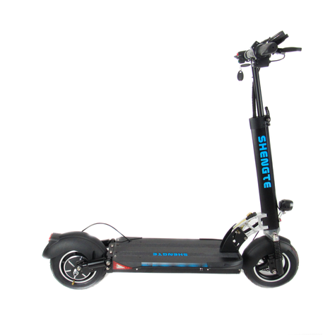Shengte 10 Lite1600w Black -1