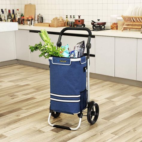 Carrito de Compras Plegable Supermercado o Feria + Bolso Cooler Blue-2