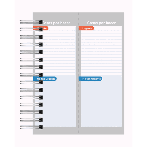 Agenda Profesor-19