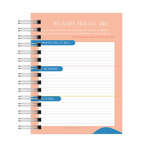 Agenda Profesor-2