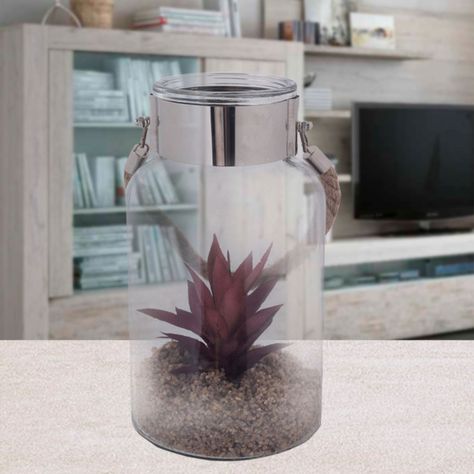Planta Decorativa Fanal Suculenta Roja con Soga-3
