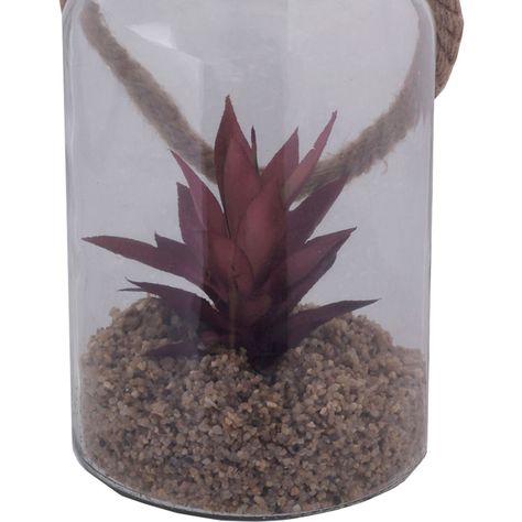 Planta Decorativa Fanal Suculenta Roja con Soga-1