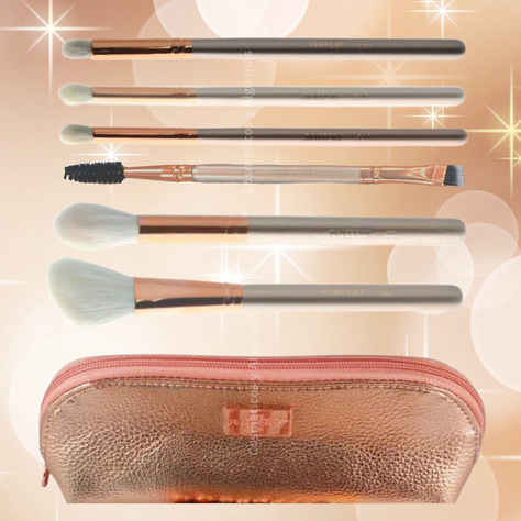 Set de 6 brochas profesionales de maquillaje con e-7