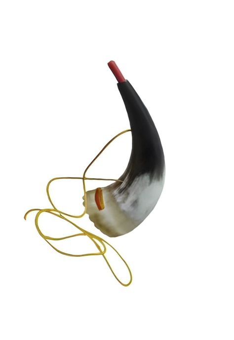 Kulkul Ceramonial Mapuche Wayra 20 PA-H5E4-1