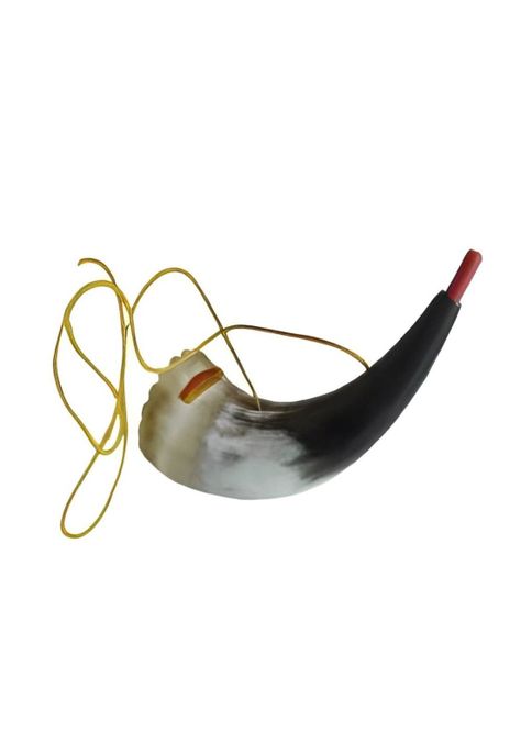 Kulkul Ceramonial Mapuche Wayra 20 PA-H5E4-2