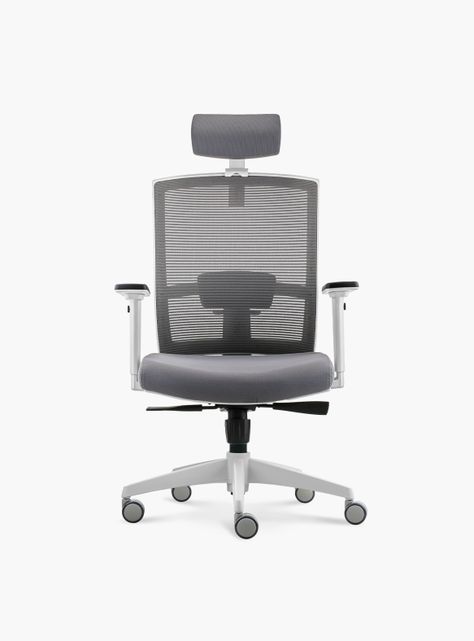 Silla Oficina Taylor Pro Gris Claro con cabecero-0