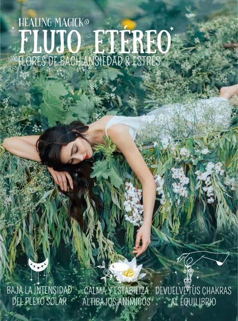Flores de Bach para el Estrés-2