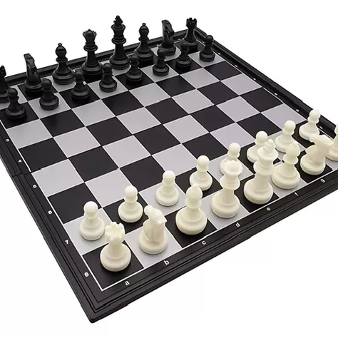 Ajedrez imantado Magnific Fantastic Chess-3