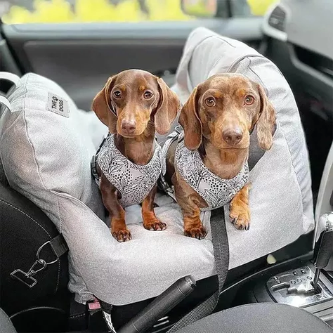 Asiento de auto para perro pequeño premium lavable gris-1