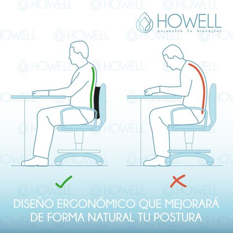 Cojín Lumbar Ortopédico Para Espalda Howell Soporte Dorsal-3