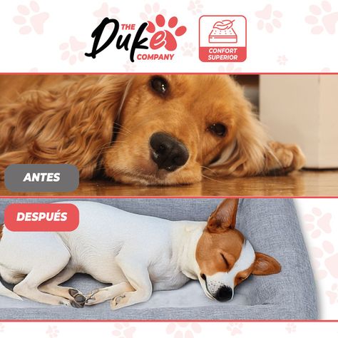 Cama de perro cuadrada Duke talla M 73 x 50 x 16 cm Gris-5