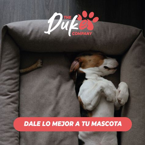 Cama de perro cuadrada Duke talla M 73 x 50 x 16 cm Gris-9