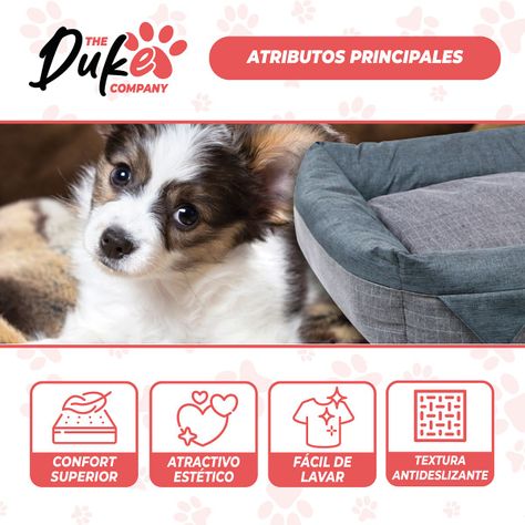 Cama Para Perro Mascotas Antiestres Lavable Duke Talla S-3
