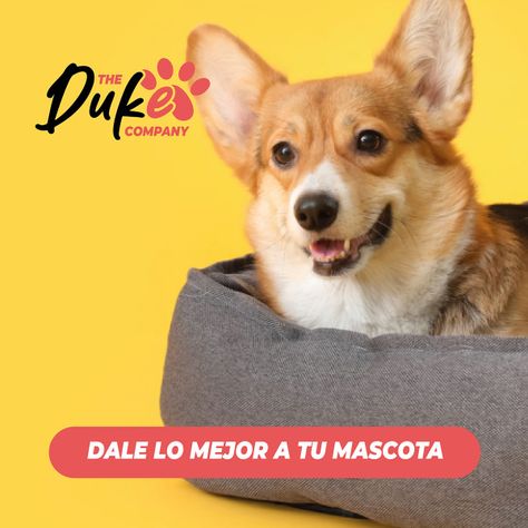 Cama Para Perro Mascotas Antiestres Lavable Duke Talla S-9