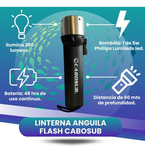 Linterna Anguila Cabosub-2