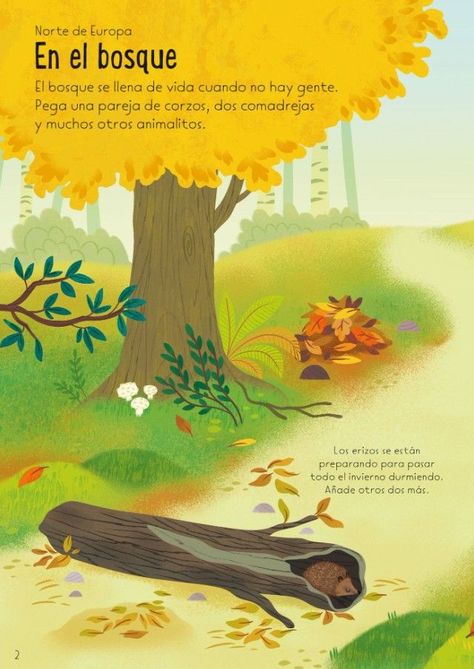 Libro Paisajes del mundo-1