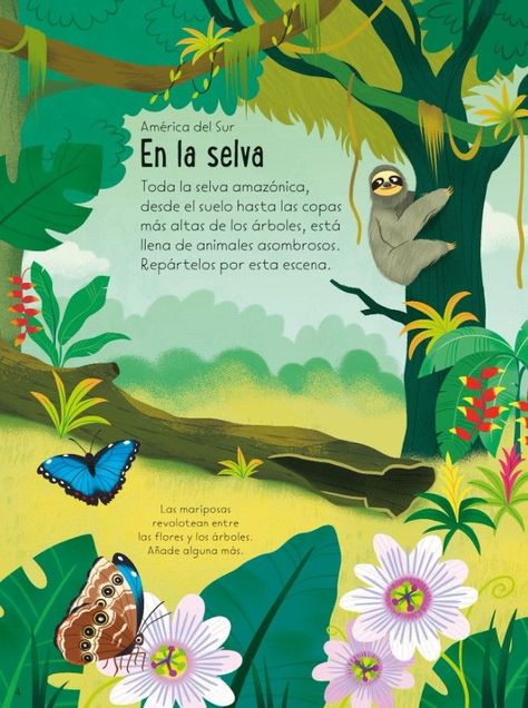 Libro Paisajes del mundo-3