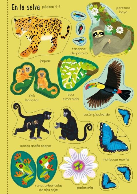 Libro Paisajes del mundo-6