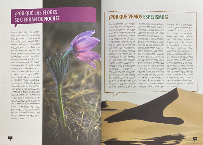Libro De Los Porqués Edición Tapa Dura-2
