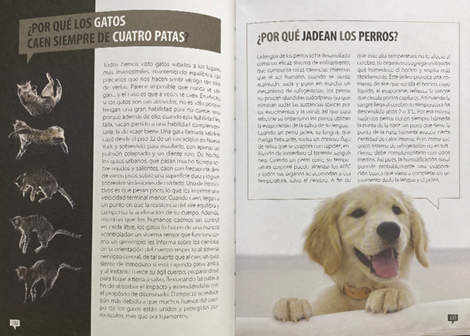 Libro De Los Porqués Edición Tapa Dura-3