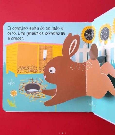 Libro Mascotas pop up-2